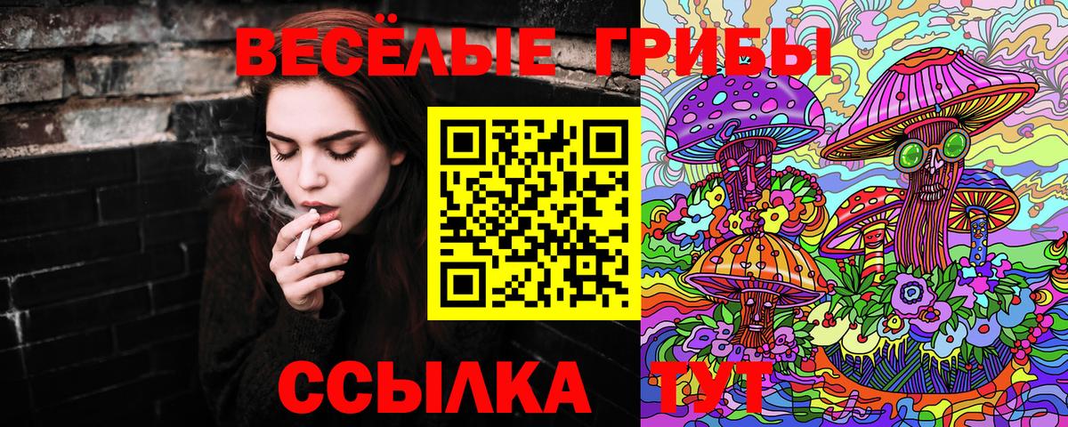 магазин продажи наркотиков  Галлюциногенные грибы прущие грибы  Уфа  Вход с VPN  Галлюциногенные грибы мицелий 